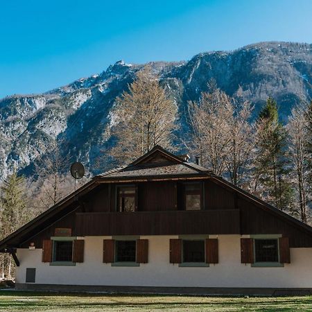 Tuba Apartments Bohinj Exteriér fotografie