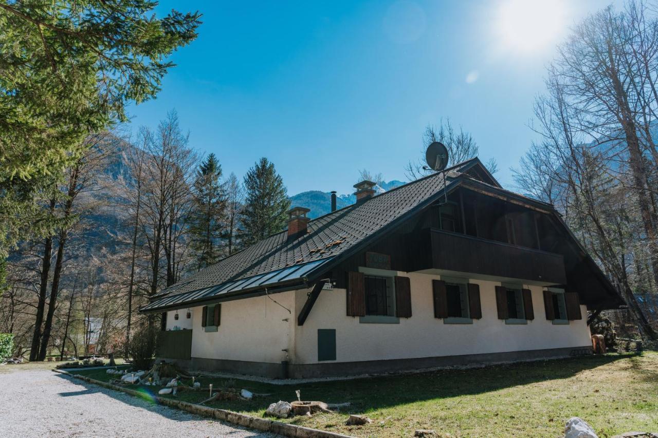 Tuba Apartments Bohinj Exteriér fotografie