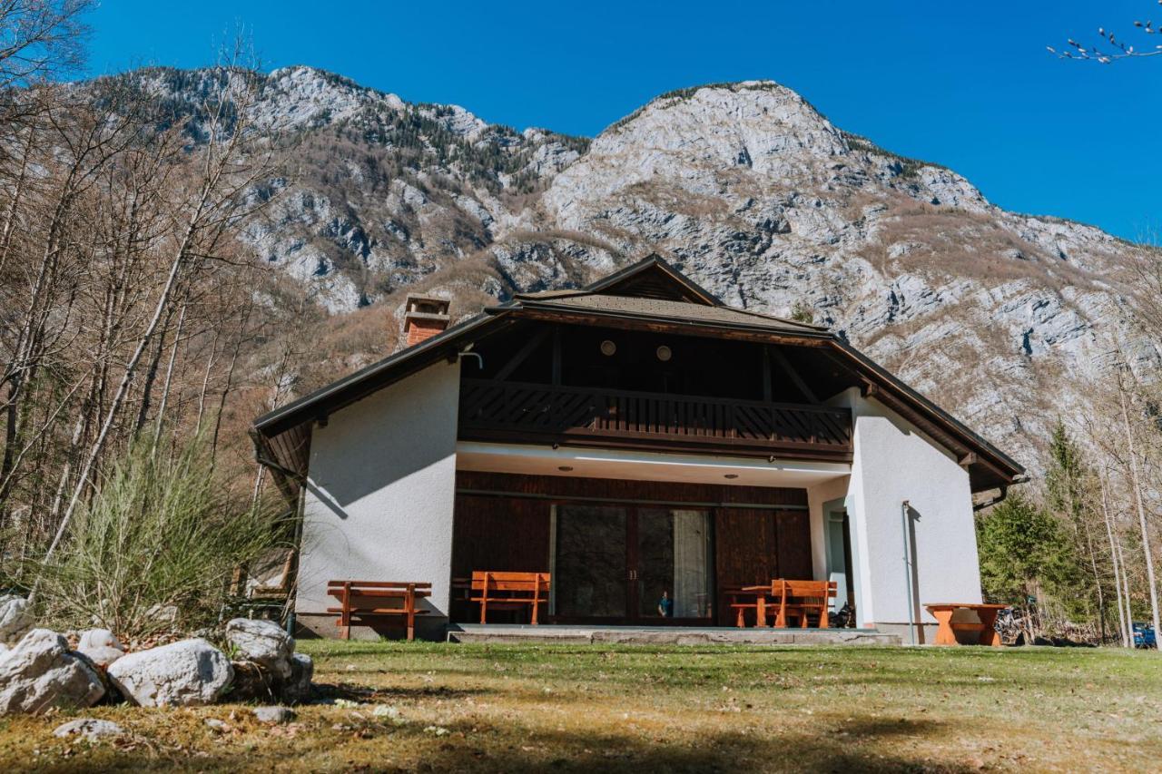 Tuba Apartments Bohinj Exteriér fotografie