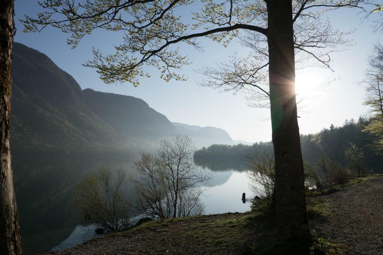 Tuba Apartments Bohinj Exteriér fotografie